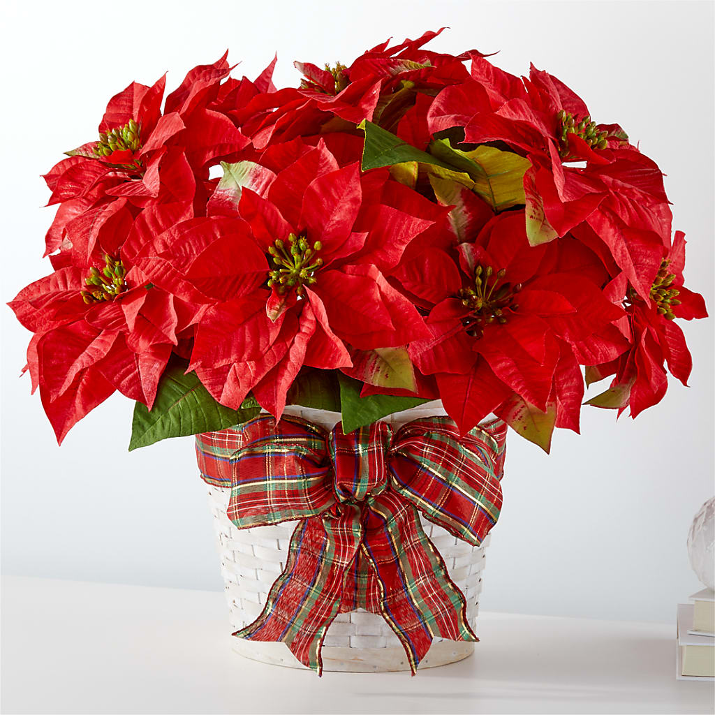 Happiest Holidays Poinsettia – A BEAUTIFUL DAY FLORIST WINE & GOURMET, Port Saint Lucie FL