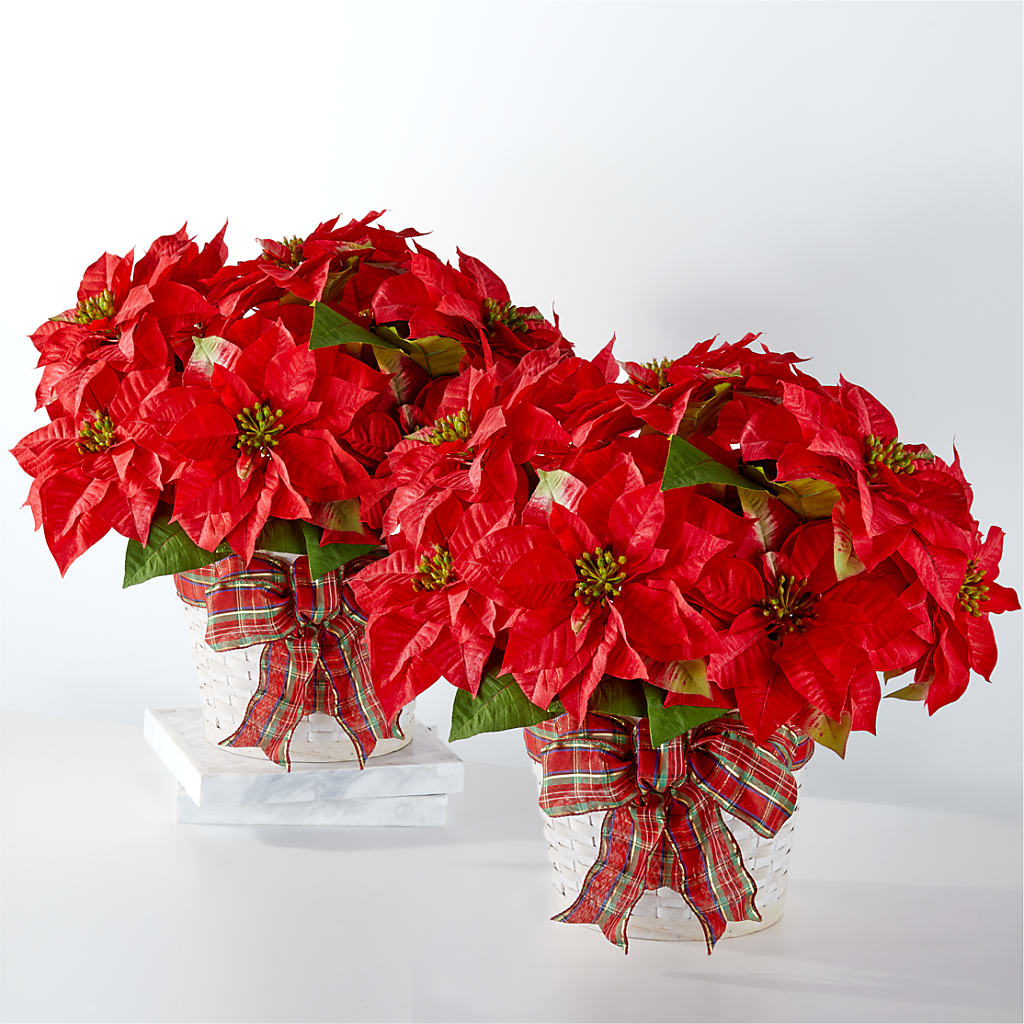 Happiest Holidays Poinsettia Bundle – A BEAUTIFUL DAY FLORIST WINE & GOURMET, Port Saint Lucie FL