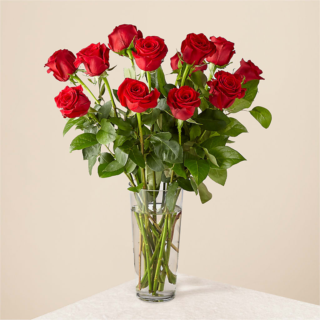 Long Stem Red Rose Bouquet – A BEAUTIFUL DAY FLORIST WINE & GOURMET, Port Saint Lucie FL