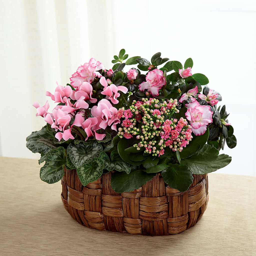 Pink Assortment – A BEAUTIFUL DAY FLORIST WINE & GOURMET, Port Saint Lucie FL