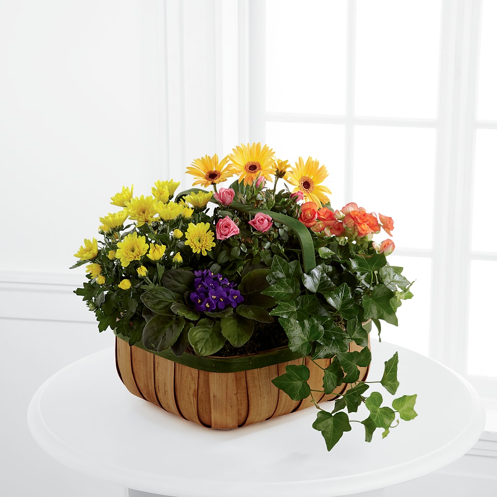 Gentle Blossoms Basket – A BEAUTIFUL DAY FLORIST WINE & GOURMET, Port Saint Lucie FL
