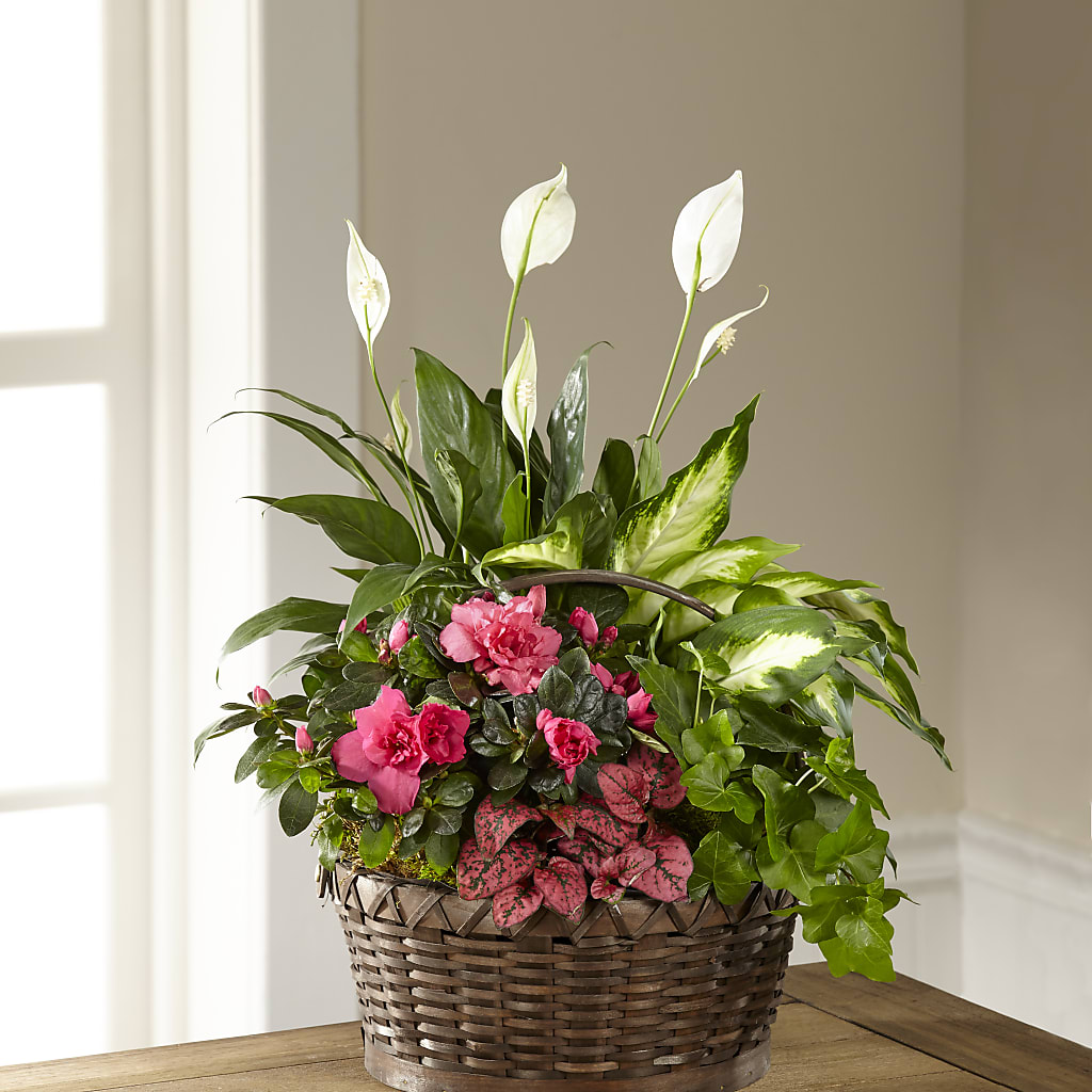 Dream in Pink Dishgarden – A BEAUTIFUL DAY FLORIST WINE & GOURMET, Port Saint Lucie FL