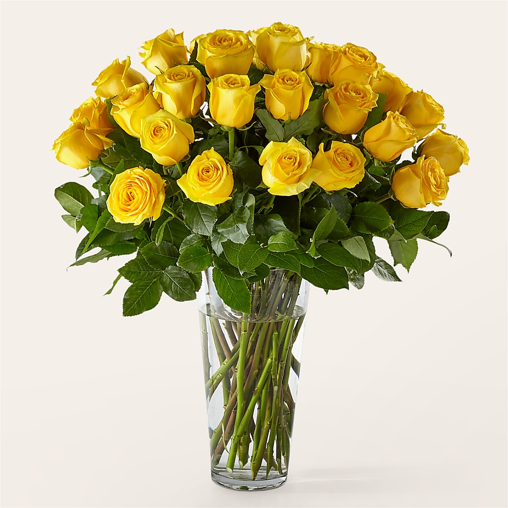 Long Stem Yellow Rose Bouquet – A BEAUTIFUL DAY FLORIST WINE & GOURMET, Port Saint Lucie FL