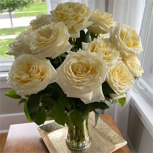 Long Stem Yellow Rose Bouquet – A BEAUTIFUL DAY FLORIST WINE & GOURMET, Port Saint Lucie FL