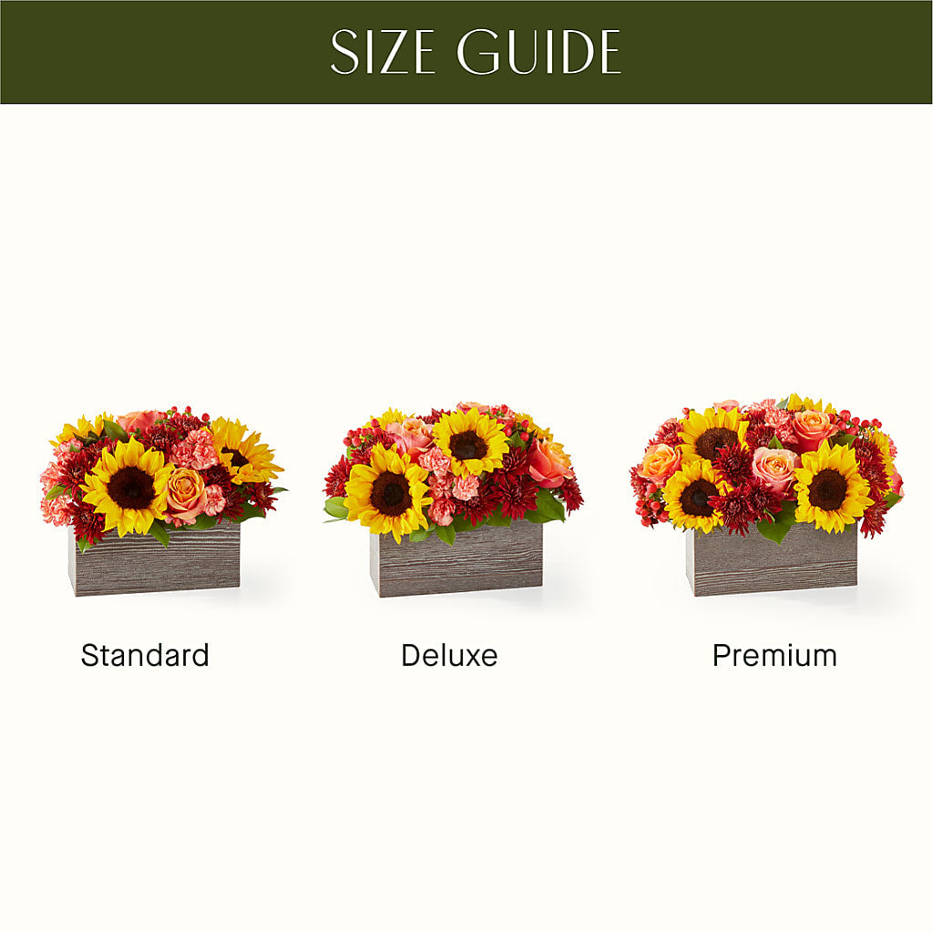 Fresh Cider Bouquet – A BEAUTIFUL DAY FLORIST WINE & GOURMET, Port Saint Lucie FL