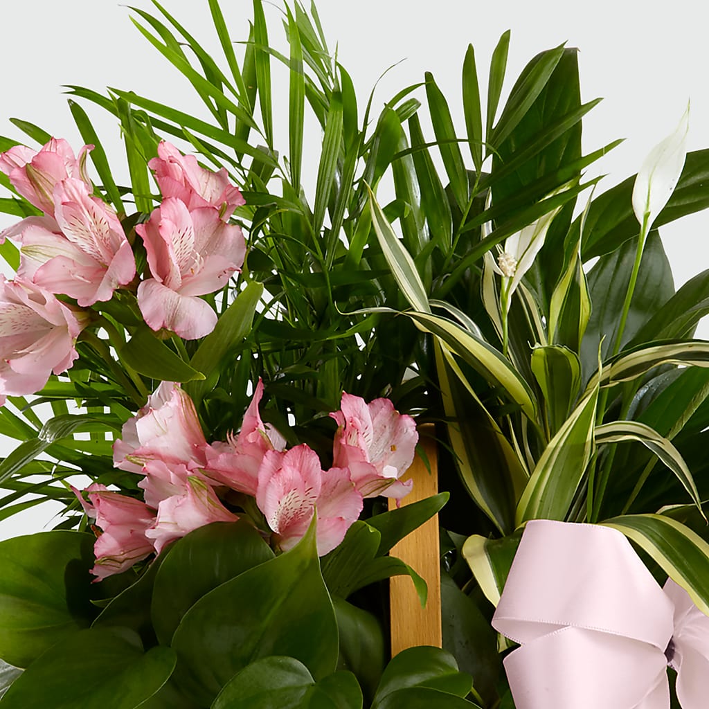 Living Spirit Dishgarden – A BEAUTIFUL DAY FLORIST WINE & GOURMET, Port Saint Lucie FL