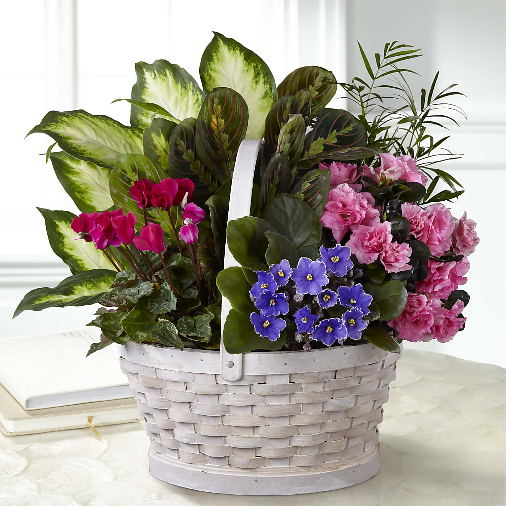 Peaceful Garden Planter – A BEAUTIFUL DAY FLORIST WINE & GOURMET, Port Saint Lucie FL