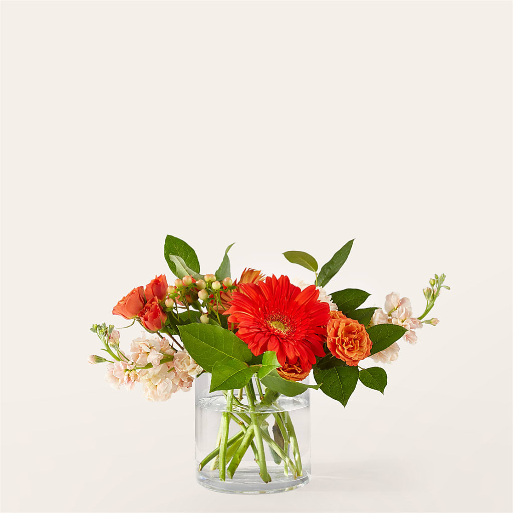 Paloma Please Bouquet – A BEAUTIFUL DAY FLORIST WINE & GOURMET, Port Saint Lucie FL