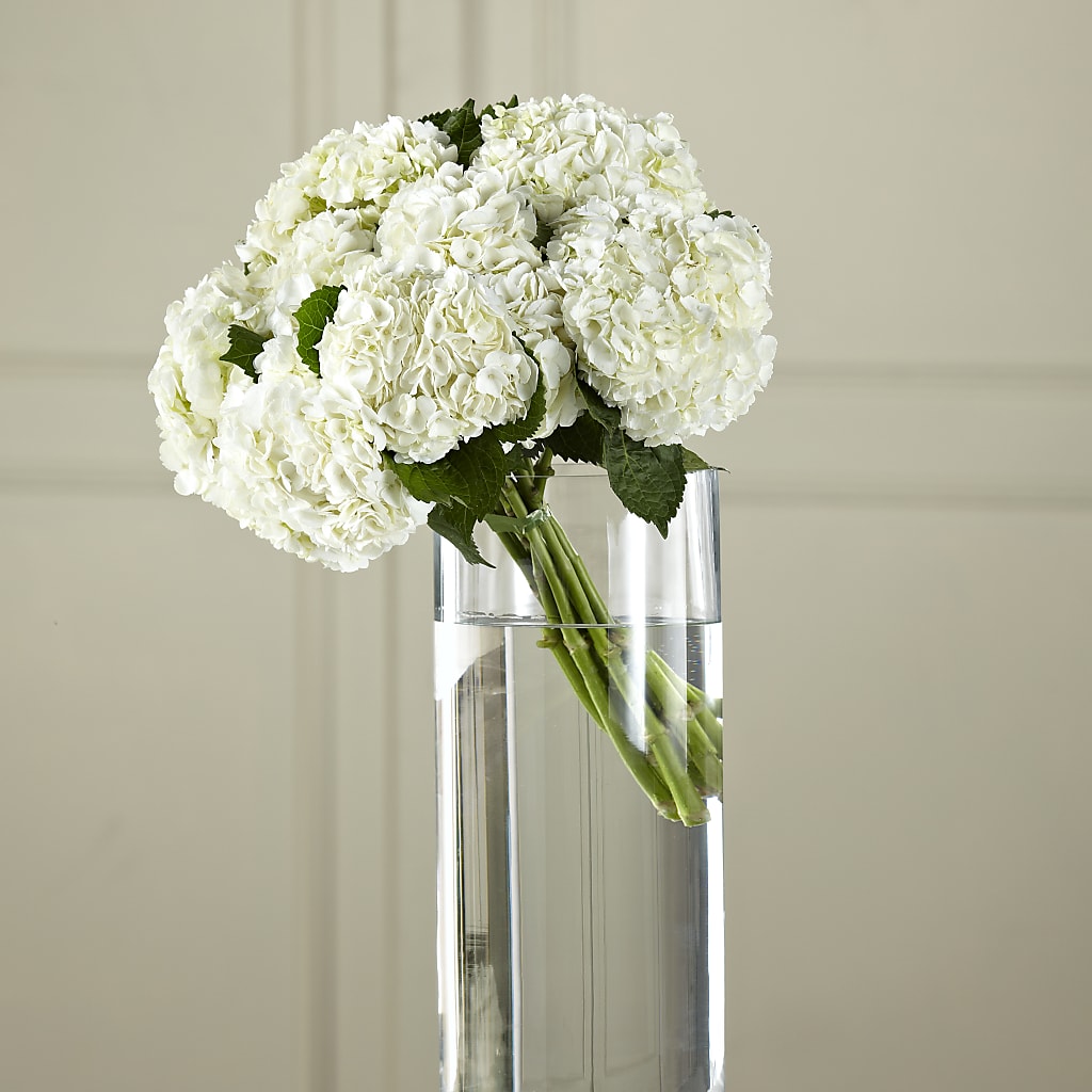 White Hydrangea Hand-Tied Bouquet – A BEAUTIFUL DAY FLORIST WINE & GOURMET, Port Saint Lucie FL
