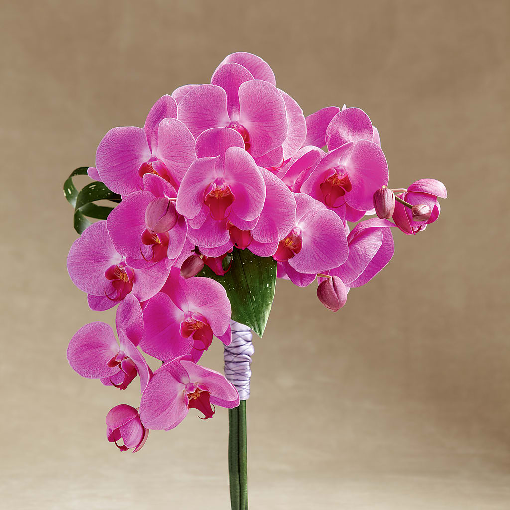 Glorious Bouquet – A BEAUTIFUL DAY FLORIST WINE & GOURMET, Port Saint Lucie FL