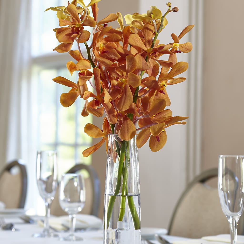 Orange Mokara Bud Vase – A BEAUTIFUL DAY FLORIST WINE & GOURMET, Port Saint Lucie FL