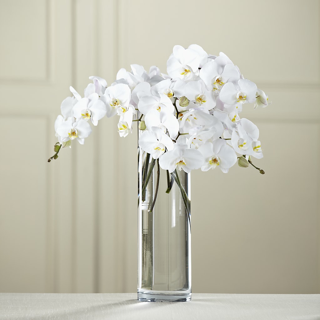 White Phalaenopsis Bouquet – A BEAUTIFUL DAY FLORIST WINE & GOURMET, Port Saint Lucie FL