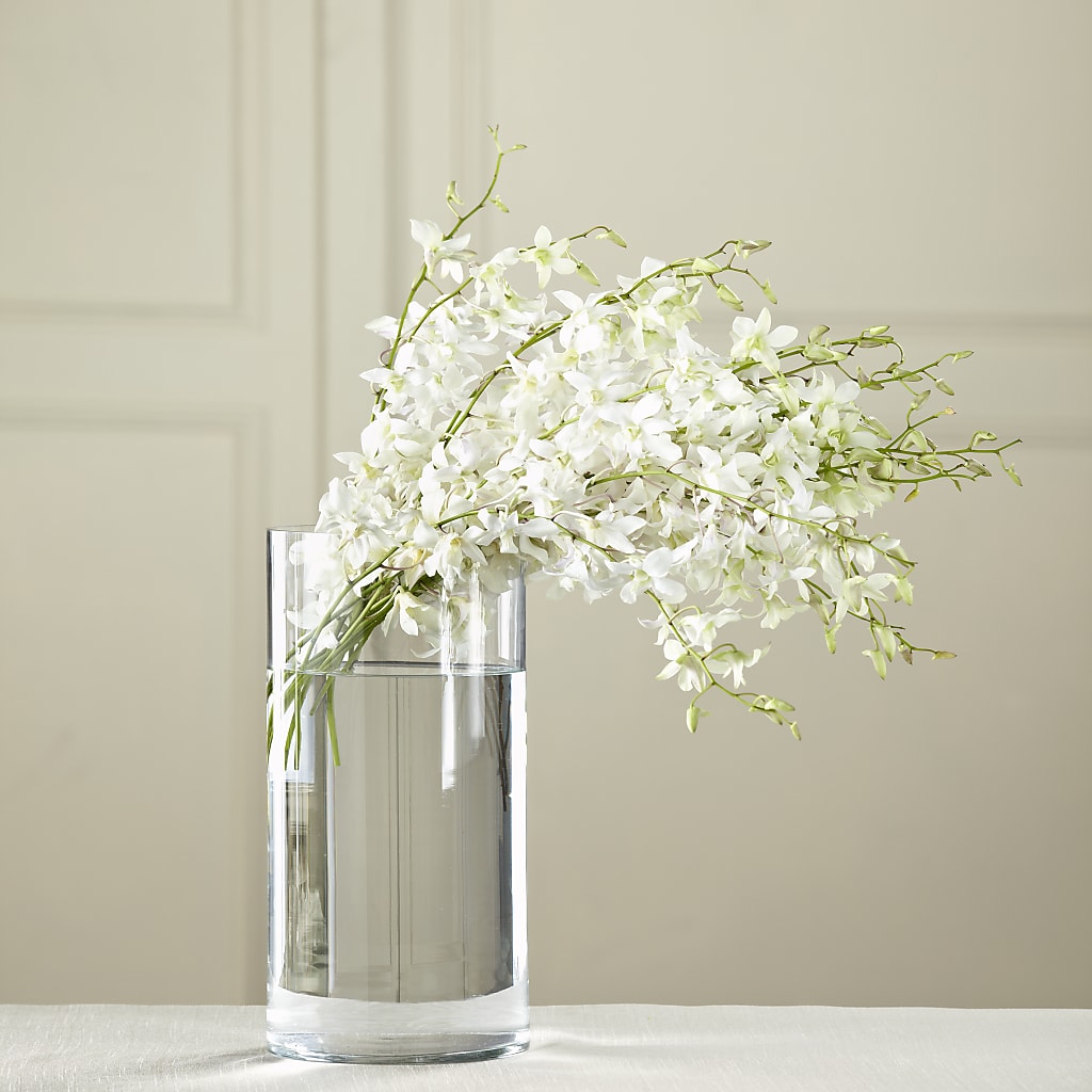 White Dendrobium Bouquet – A BEAUTIFUL DAY FLORIST WINE & GOURMET, Port Saint Lucie FL