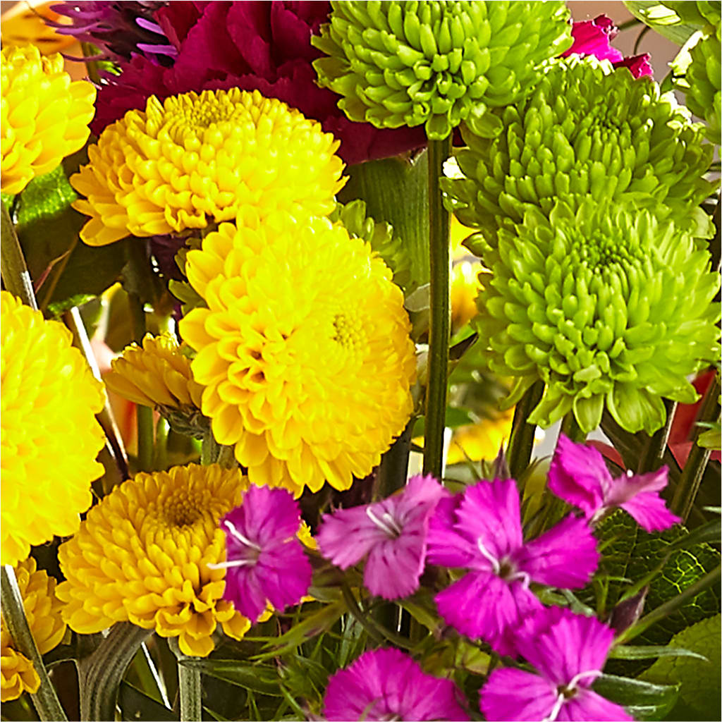 Bold & Bright – A Florist Original – A BEAUTIFUL DAY FLORIST WINE & GOURMET, Port Saint Lucie FL