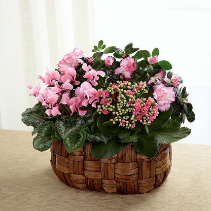 Pink Assortment – A BEAUTIFUL DAY FLORIST WINE & GOURMET, Port Saint Lucie FL