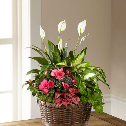Dream in Pink Dishgarden – A BEAUTIFUL DAY FLORIST WINE & GOURMET, Port Saint Lucie FL