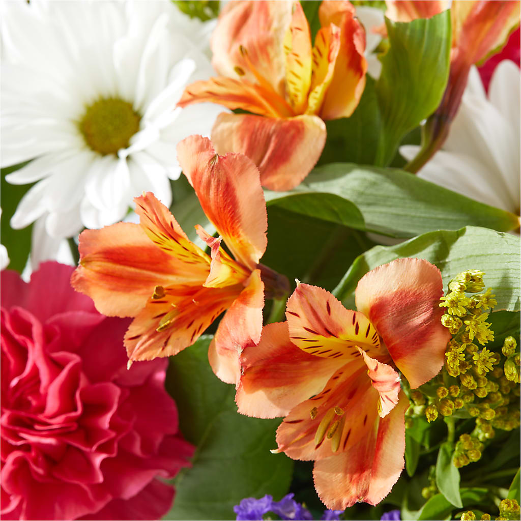 Oopsie Daisy Box Bouquet – A BEAUTIFUL DAY FLORIST WINE & GOURMET, Port Saint Lucie FL