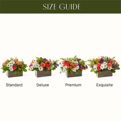 Oopsie Daisy Box Bouquet – A BEAUTIFUL DAY FLORIST WINE & GOURMET, Port Saint Lucie FL