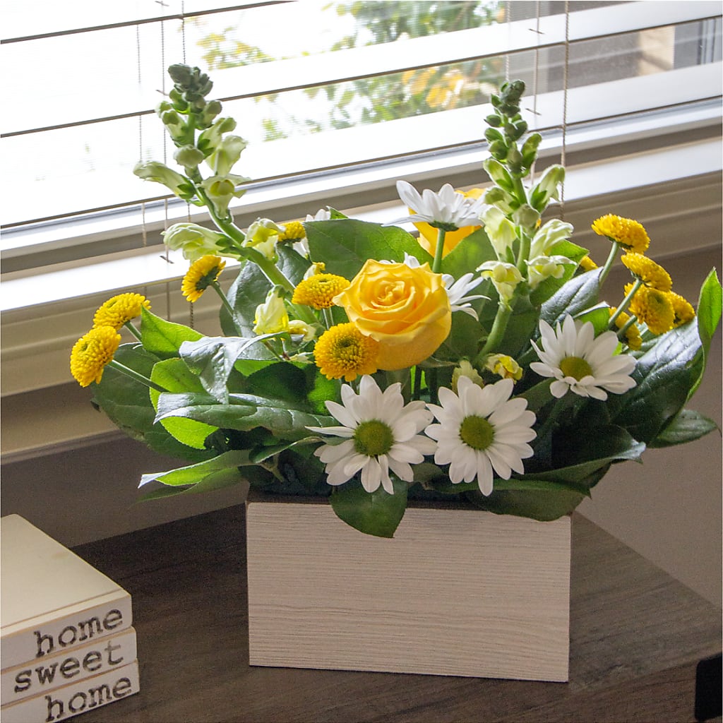 Sun Salutation Box Bouquet – A BEAUTIFUL DAY FLORIST WINE & GOURMET, Port Saint Lucie FL