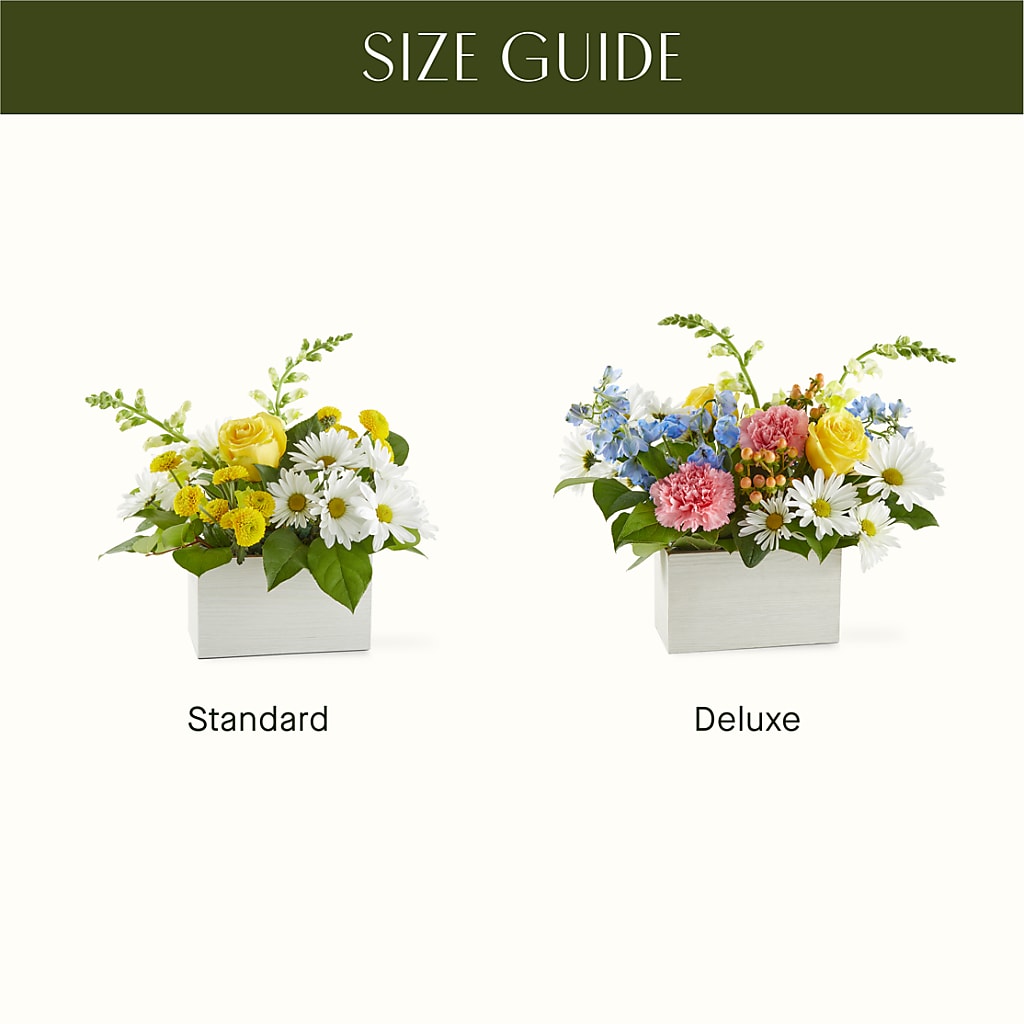 Sun Salutation Box Bouquet – A BEAUTIFUL DAY FLORIST WINE & GOURMET, Port Saint Lucie FL