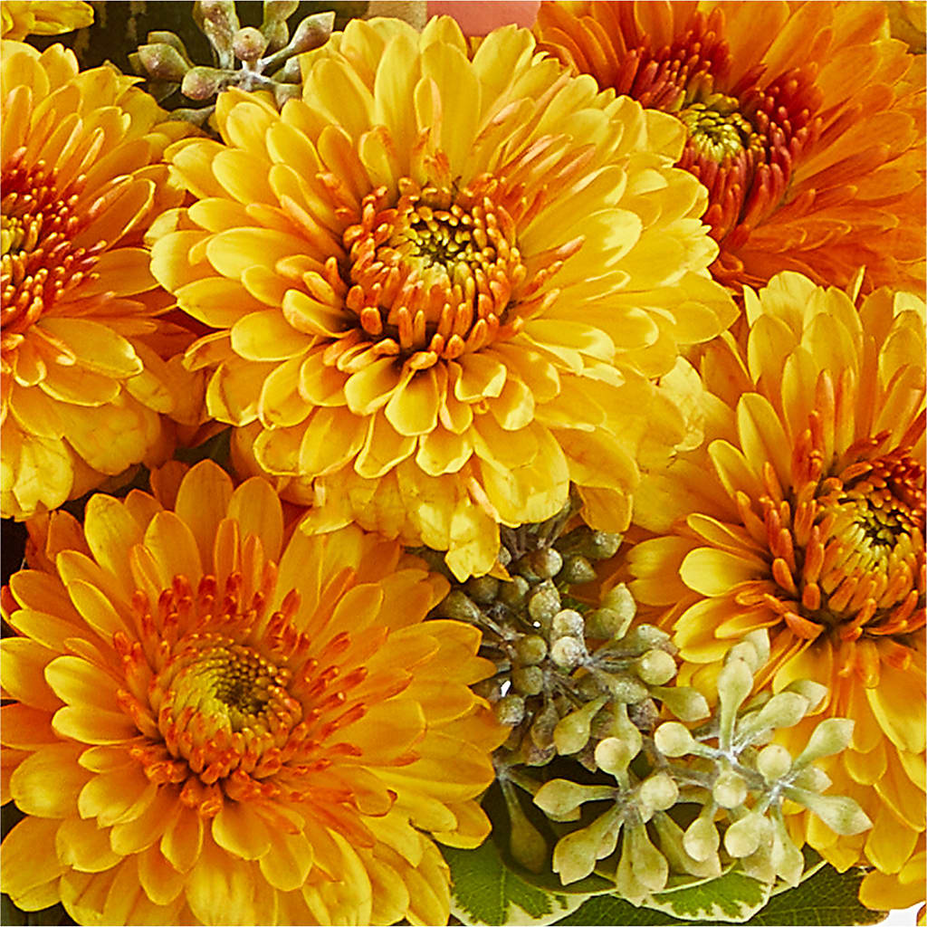 Peachy Pumpkin – A BEAUTIFUL DAY FLORIST WINE & GOURMET, Port Saint Lucie FL