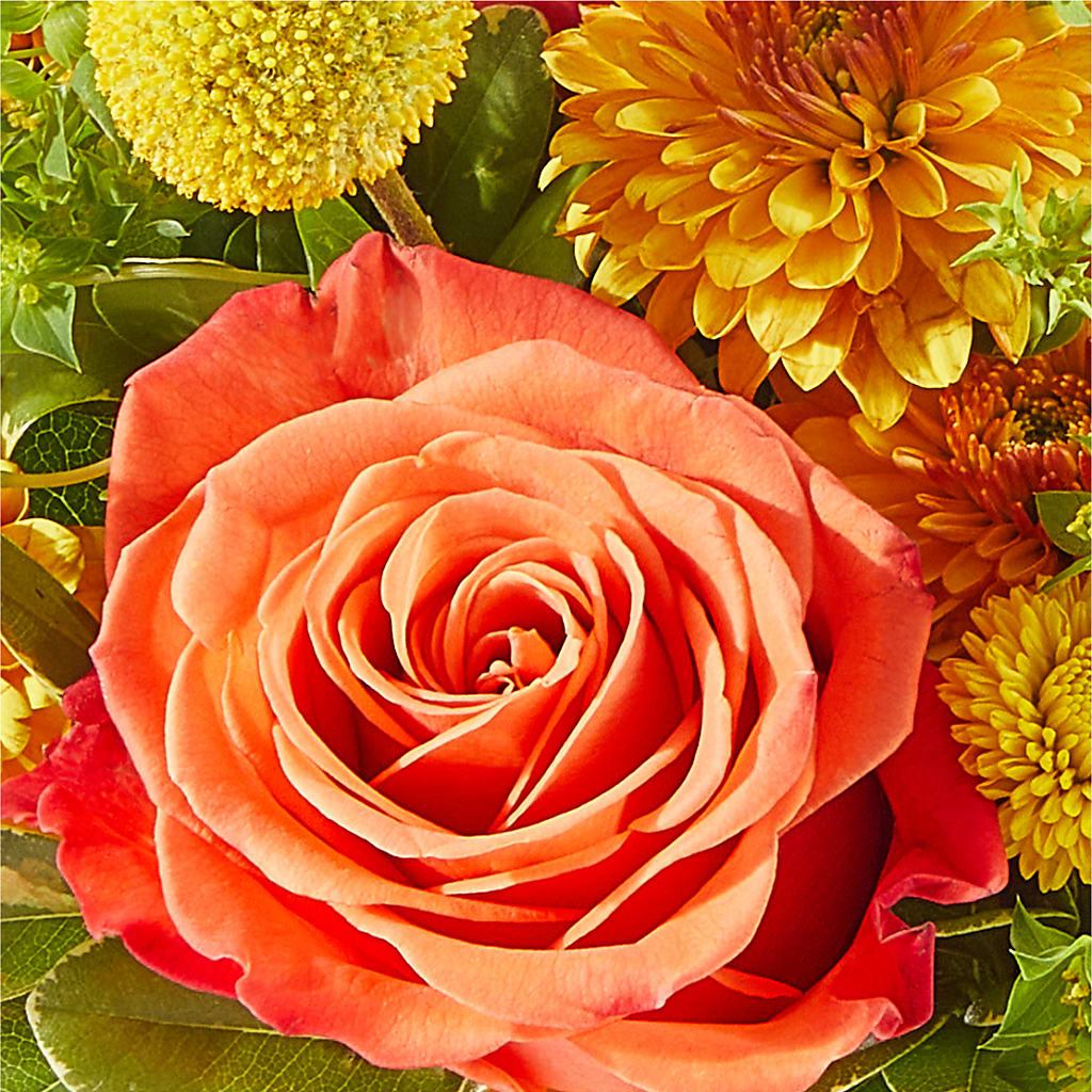 Gourdgeous Pumpkin – A BEAUTIFUL DAY FLORIST WINE & GOURMET, Port Saint Lucie FL