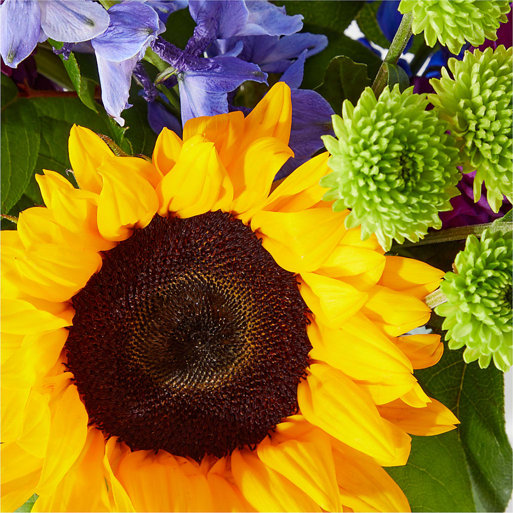 Catching Rays Bouquet – A BEAUTIFUL DAY FLORIST WINE & GOURMET, Port Saint Lucie FL