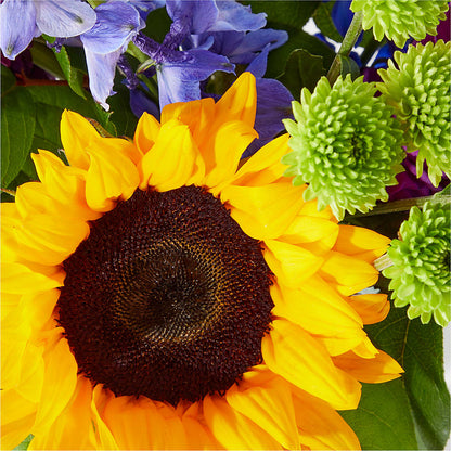 Catching Rays Bouquet – A BEAUTIFUL DAY FLORIST WINE & GOURMET, Port Saint Lucie FL
