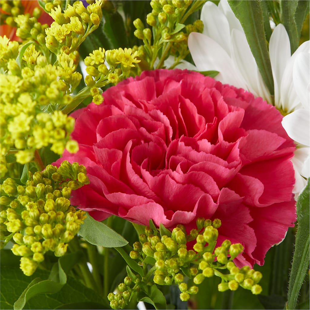 Oopsie Daisy Bouquet – A BEAUTIFUL DAY FLORIST WINE & GOURMET, Port Saint Lucie FL