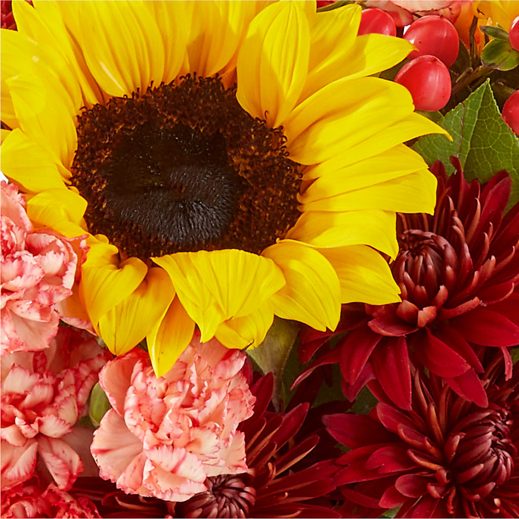 Fresh Cider Bouquet – A BEAUTIFUL DAY FLORIST WINE & GOURMET, Port Saint Lucie FL