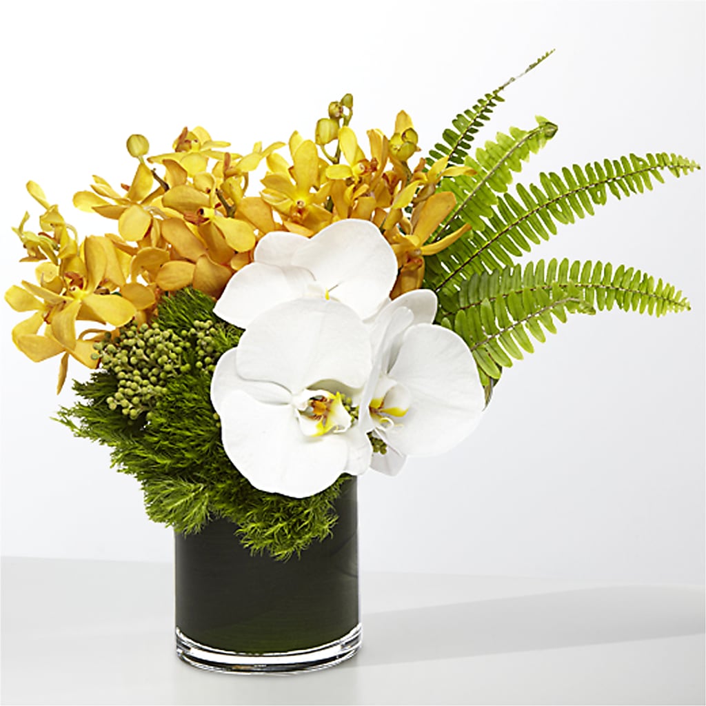 The Tropics – A BEAUTIFUL DAY FLORIST WINE & GOURMET, Port Saint Lucie FL