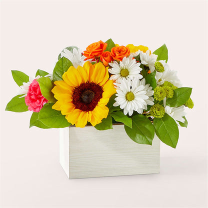 Sun-drenched Blooms Box Bouquet – A BEAUTIFUL DAY FLORIST WINE & GOURMET, Port Saint Lucie FL