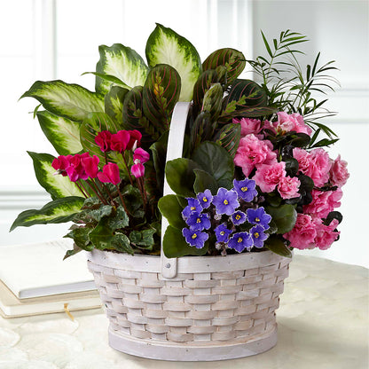 Peaceful Garden Planter – A BEAUTIFUL DAY FLORIST WINE & GOURMET, Port Saint Lucie FL