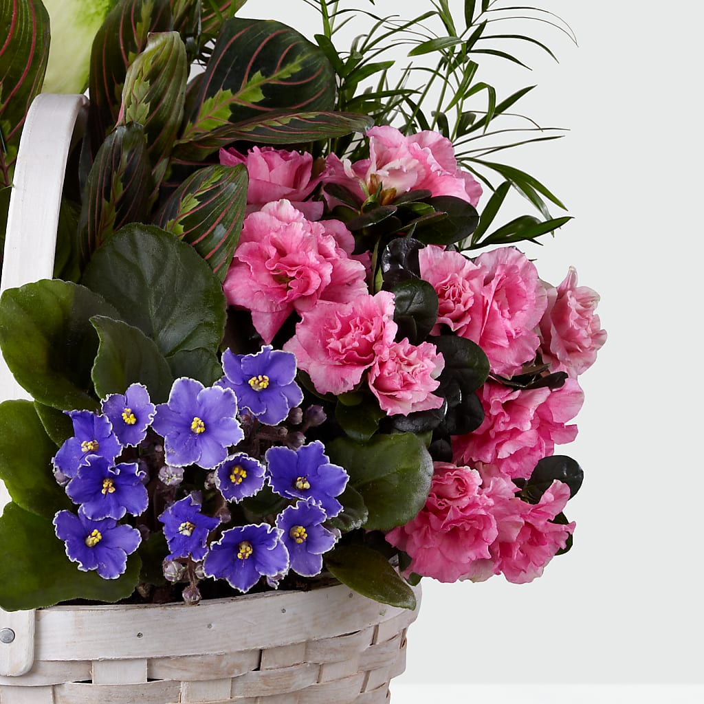 Peaceful Garden Planter – A BEAUTIFUL DAY FLORIST WINE & GOURMET, Port Saint Lucie FL