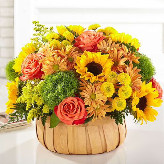 Harvest Sunflower Basket – A BEAUTIFUL DAY FLORIST WINE & GOURMET, Port Saint Lucie FL