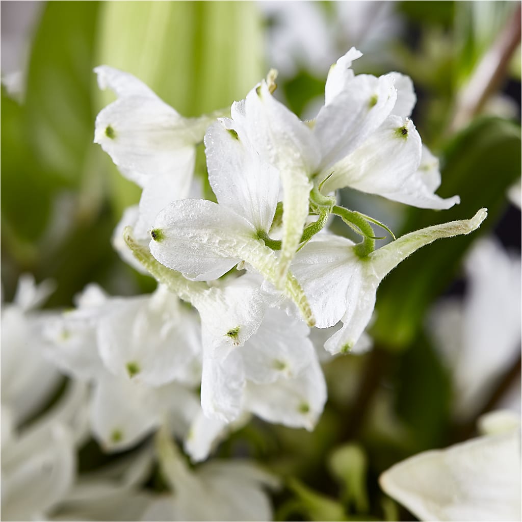 Classic Ivory – A Florist Original – A BEAUTIFUL DAY FLORIST WINE & GOURMET, Port Saint Lucie FL
