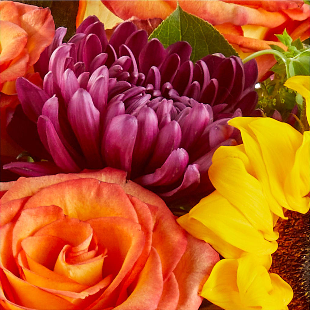 Nature Walk Bouquet – A BEAUTIFUL DAY FLORIST WINE & GOURMET, Port Saint Lucie FL
