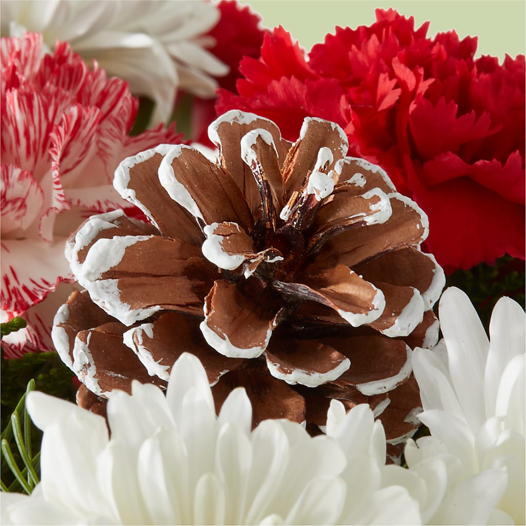 Candy Cane Lane Bouquet – A BEAUTIFUL DAY FLORIST WINE & GOURMET, Port Saint Lucie FL