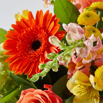Autumn Sunshine Bouquet – A BEAUTIFUL DAY FLORIST WINE & GOURMET, Port Saint Lucie FL