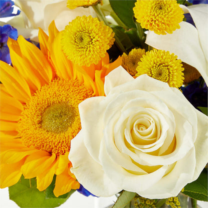 Stargazing Bouquet – A BEAUTIFUL DAY FLORIST WINE & GOURMET, Port Saint Lucie FL