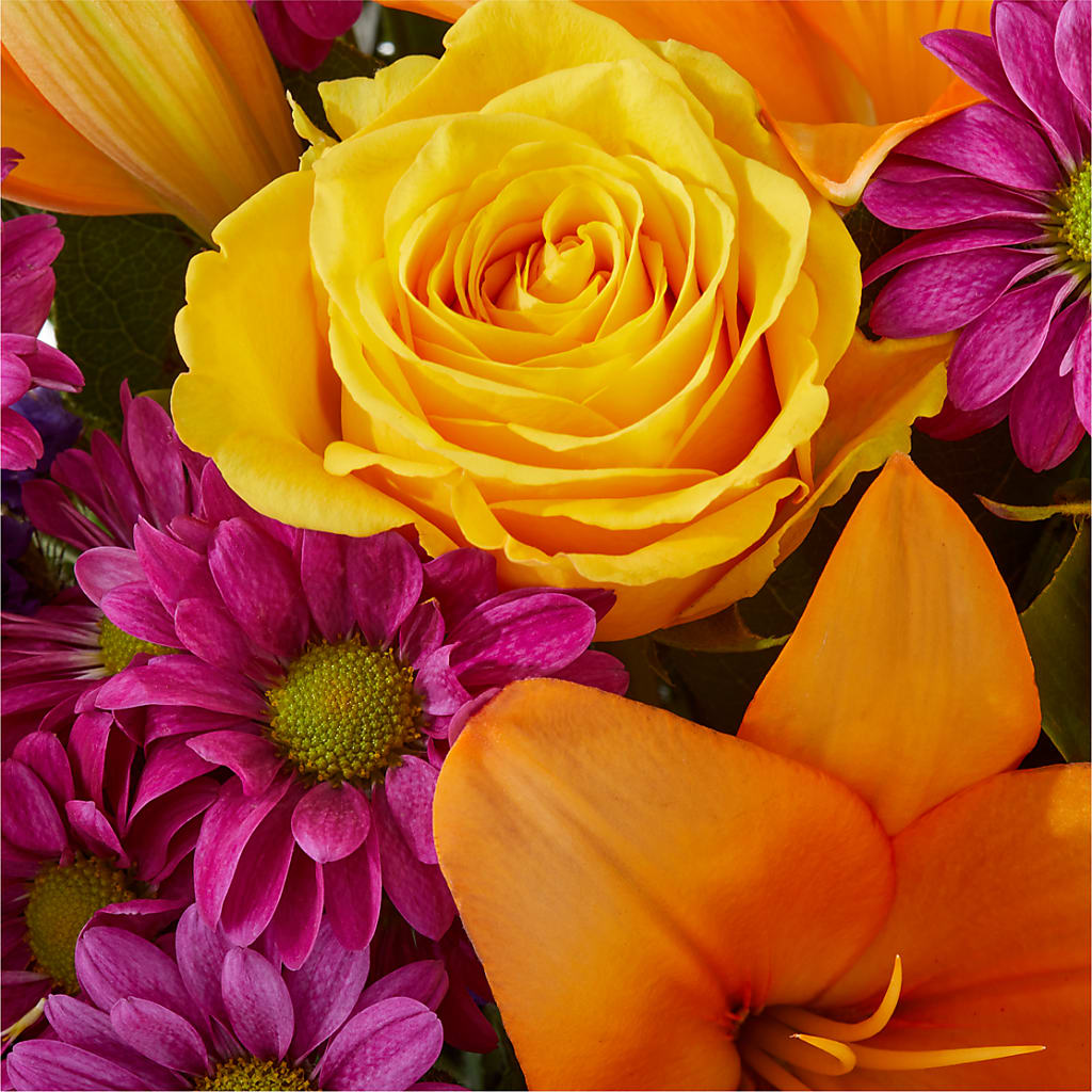 Colorful Visions Bouquet – A BEAUTIFUL DAY FLORIST WINE & GOURMET, Port Saint Lucie FL