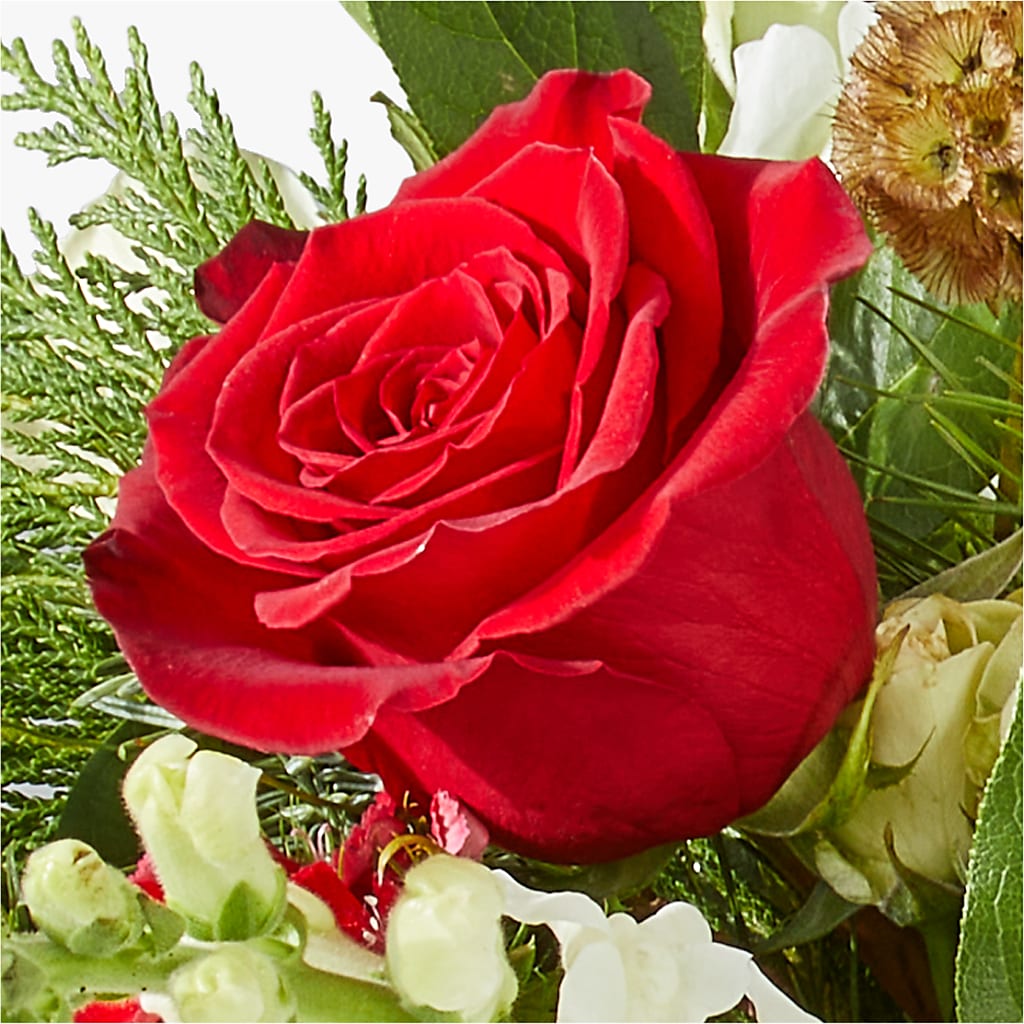 Deck the Halls Bouquet – A BEAUTIFUL DAY FLORIST WINE & GOURMET, Port Saint Lucie FL