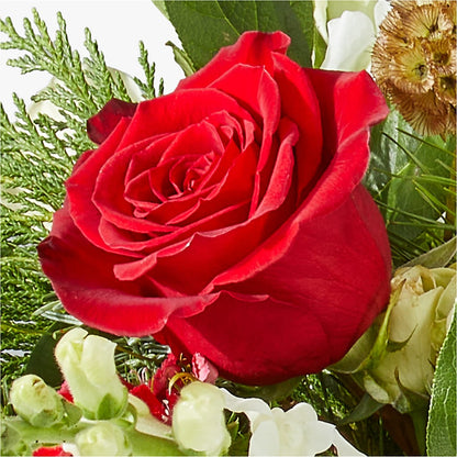Deck the Halls Bouquet – A BEAUTIFUL DAY FLORIST WINE & GOURMET, Port Saint Lucie FL