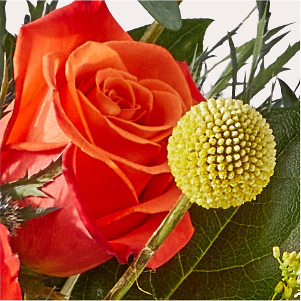 Disco Bouquet – A BEAUTIFUL DAY FLORIST WINE & GOURMET, Port Saint Lucie FL