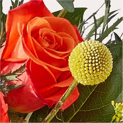 Disco Bouquet – A BEAUTIFUL DAY FLORIST WINE & GOURMET, Port Saint Lucie FL