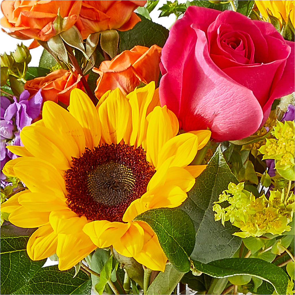 Vibrant Greetings Bouquet – A BEAUTIFUL DAY FLORIST WINE & GOURMET, Port Saint Lucie FL