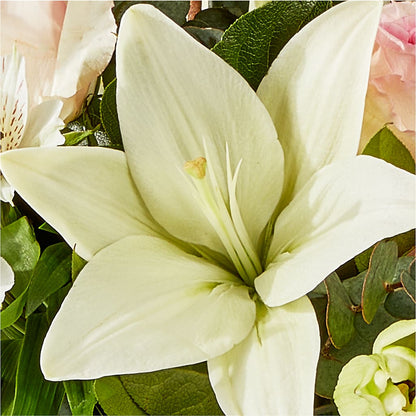 Ballet Slippers Bouquet – A BEAUTIFUL DAY FLORIST WINE & GOURMET, Port Saint Lucie FL