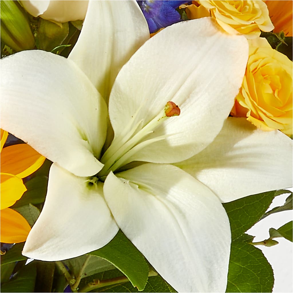 Wonderfully Sunny Bouquet – A BEAUTIFUL DAY FLORIST WINE & GOURMET, Port Saint Lucie FL
