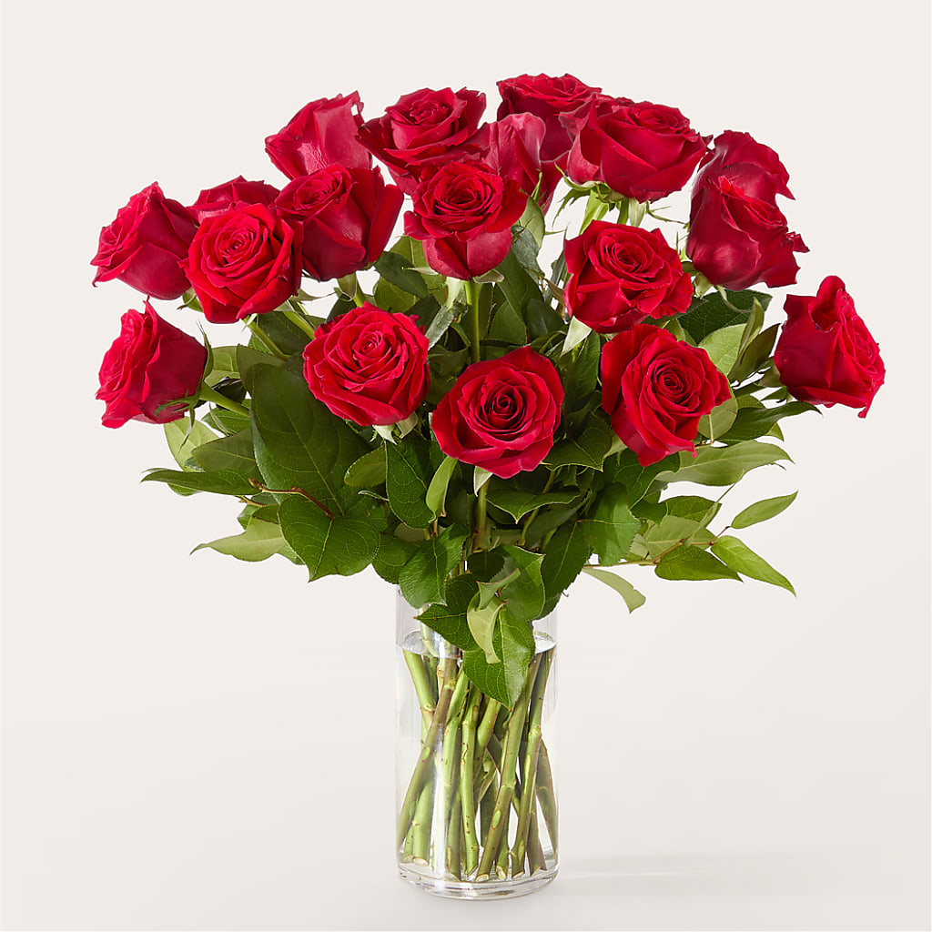 The One Red Rose Bouquet – A BEAUTIFUL DAY FLORIST WINE & GOURMET, Port Saint Lucie FL