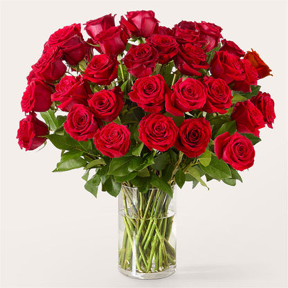 The One Red Rose Bouquet – A BEAUTIFUL DAY FLORIST WINE & GOURMET, Port Saint Lucie FL